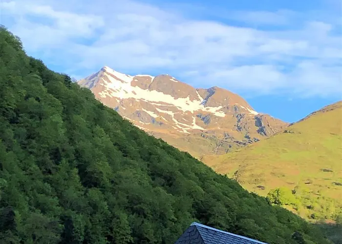 Grand T2 4 Voyageurs Confort Daire *